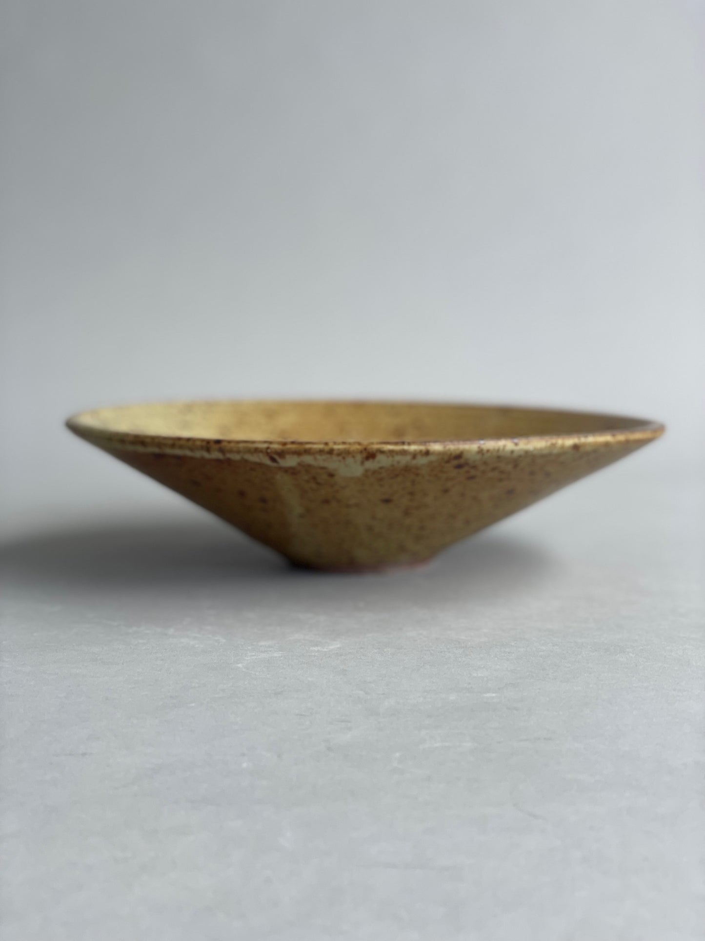 Close-up of the rim of a ceramic bowl, revealing the intricate speckled details of the glaze.